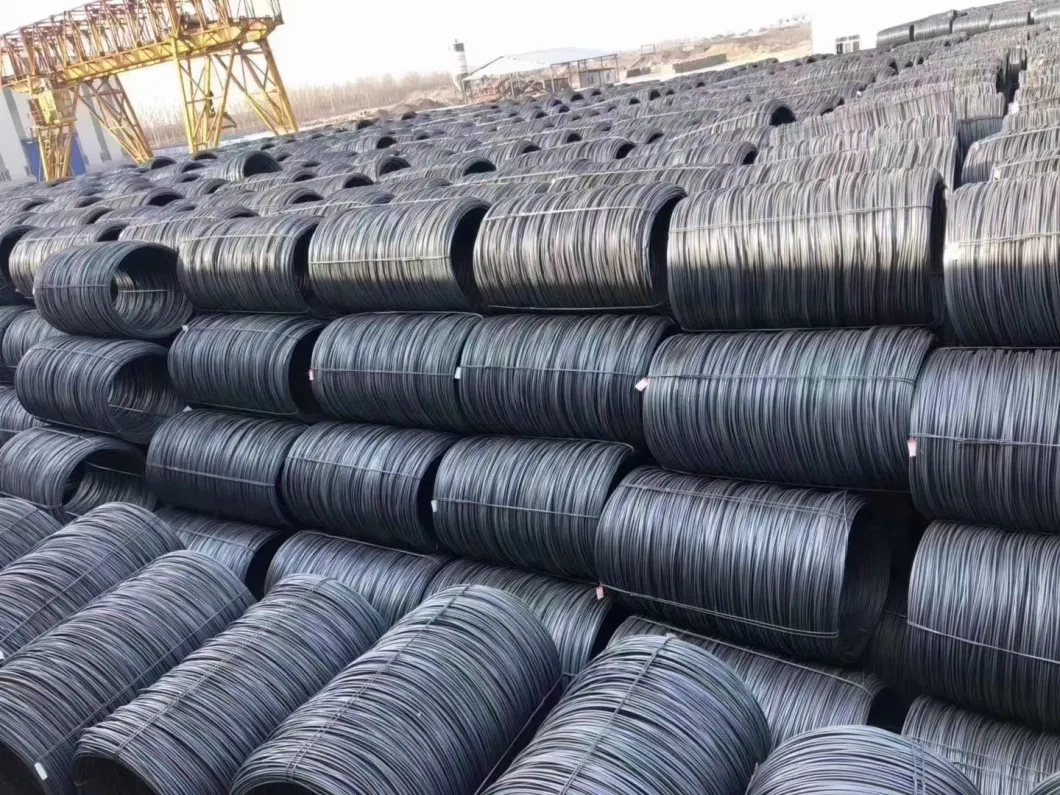 0.9mm 1.25mm 1.6mm Sch80 Ss400 S235jr Q345 Q195 Construction Hot Rolled Galvanized Low Carbon Steel Wire Rod Black Annealed Wire